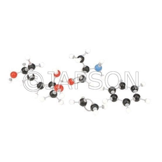 Molecular Model Set - Bio Chemistry Set - Student Molecular Model Set - Bio Chemistry Set - Student